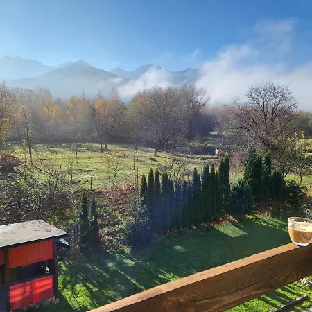 Bed & Breakfast Pensiunea Ana Vistisoara