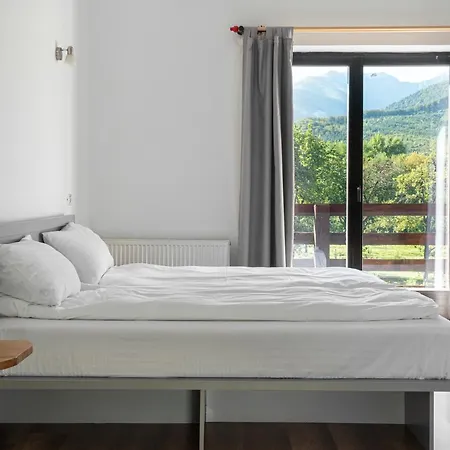 Pensiunea Ana Bed & Breakfast Vistisoara